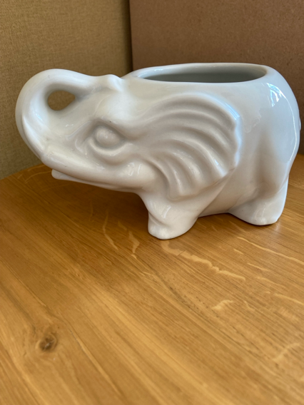 White China Small Elephant Plant Pot